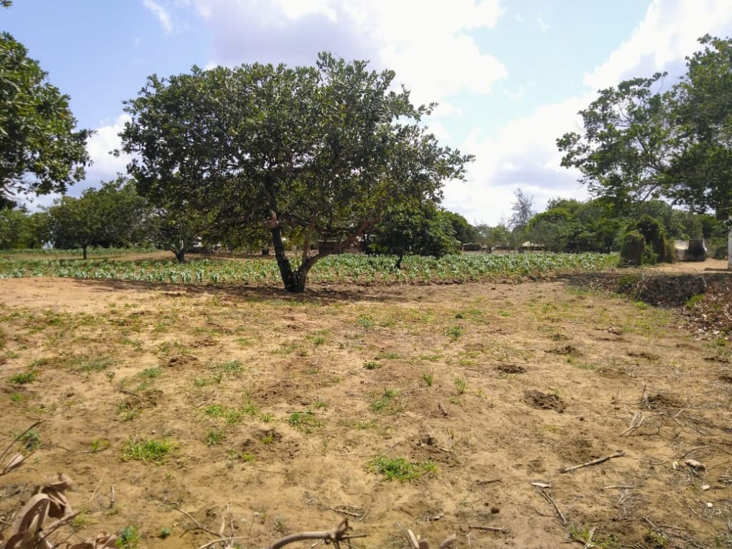 Malindi Land Dispute