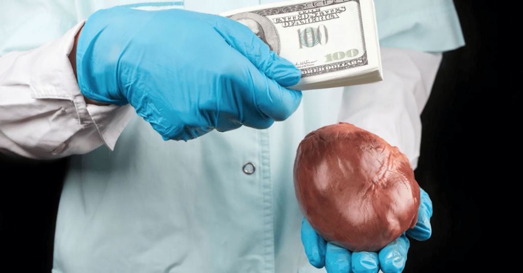How the Truth Was Cut Out: Inside the Mediheal Organ Trafficking Scandal