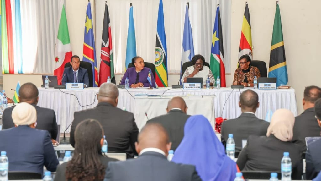 Officials from Kenya and other countries during a meeting in Tanzania on Friday, May 30, 2025.