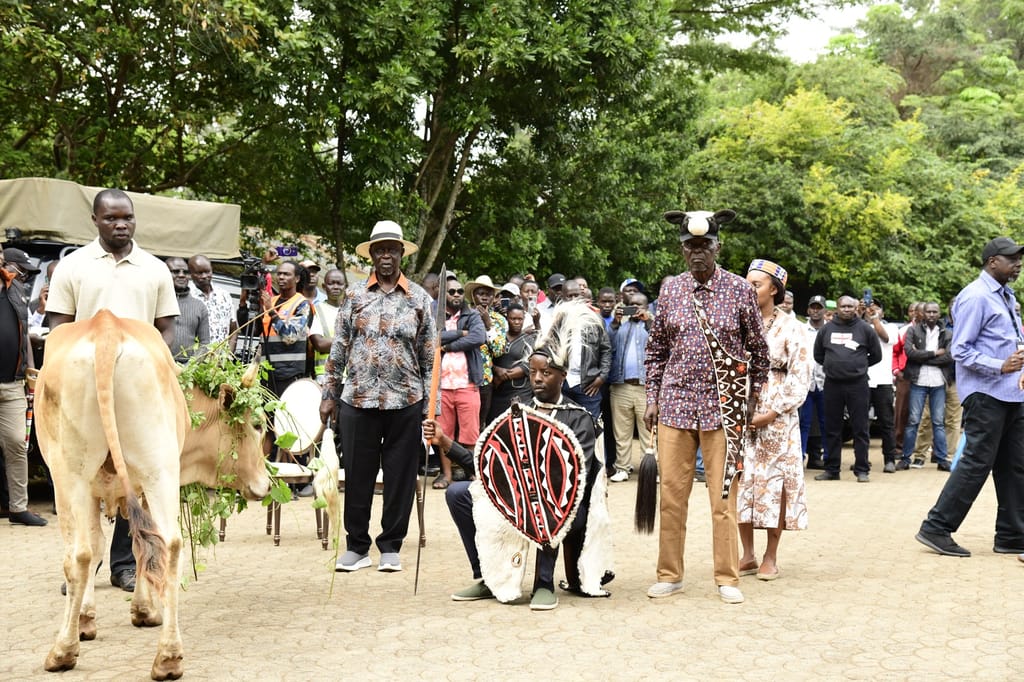 Raila Odinga Junior seated on a traditional stool during the installation ceremony at Opoda Farm, Bondo.