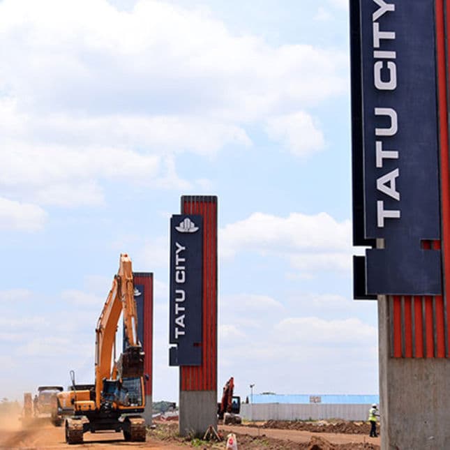 How Revived Mauritius Lawsuit Of Tatu City’s Newest Shareholders