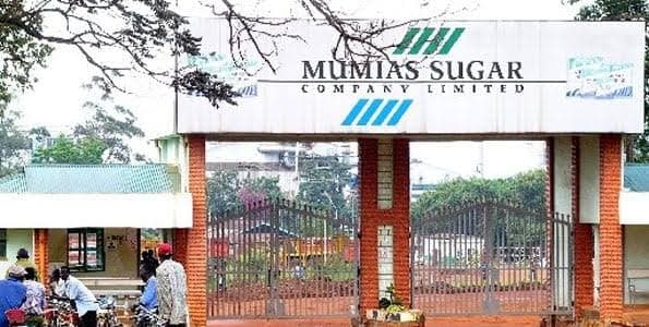 Lobby Group Accuse Mumias Manager Of Colluding With Tycoon Raval To Shortchange Farmers In Takeover