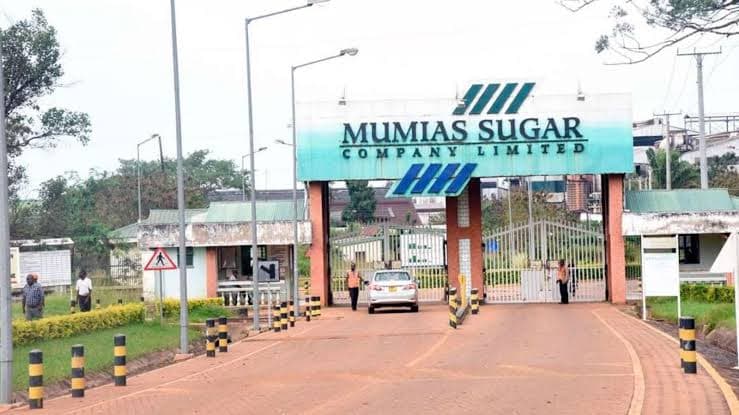 The Hidden Hand: Vertox Resources and Swiss Owner Kristian Khachatourian Deepen Mumias Sugar’s Crisis