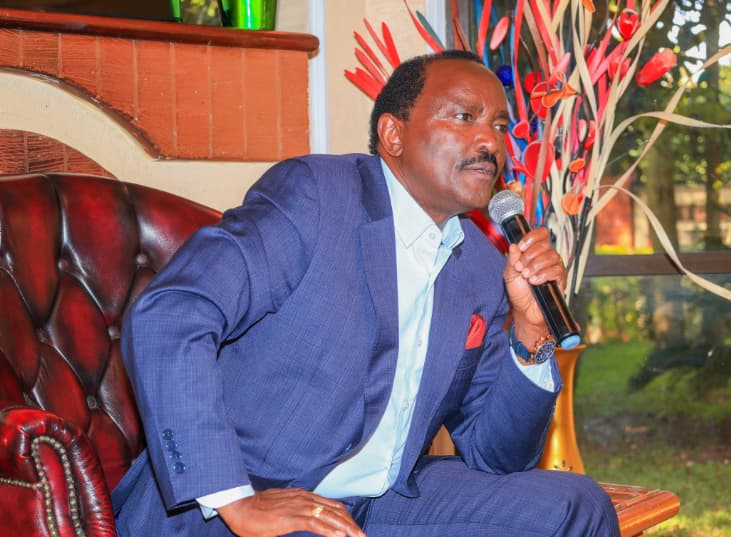 Joining Ruto? Kalonzo Dismisses Viral Video As Fake News