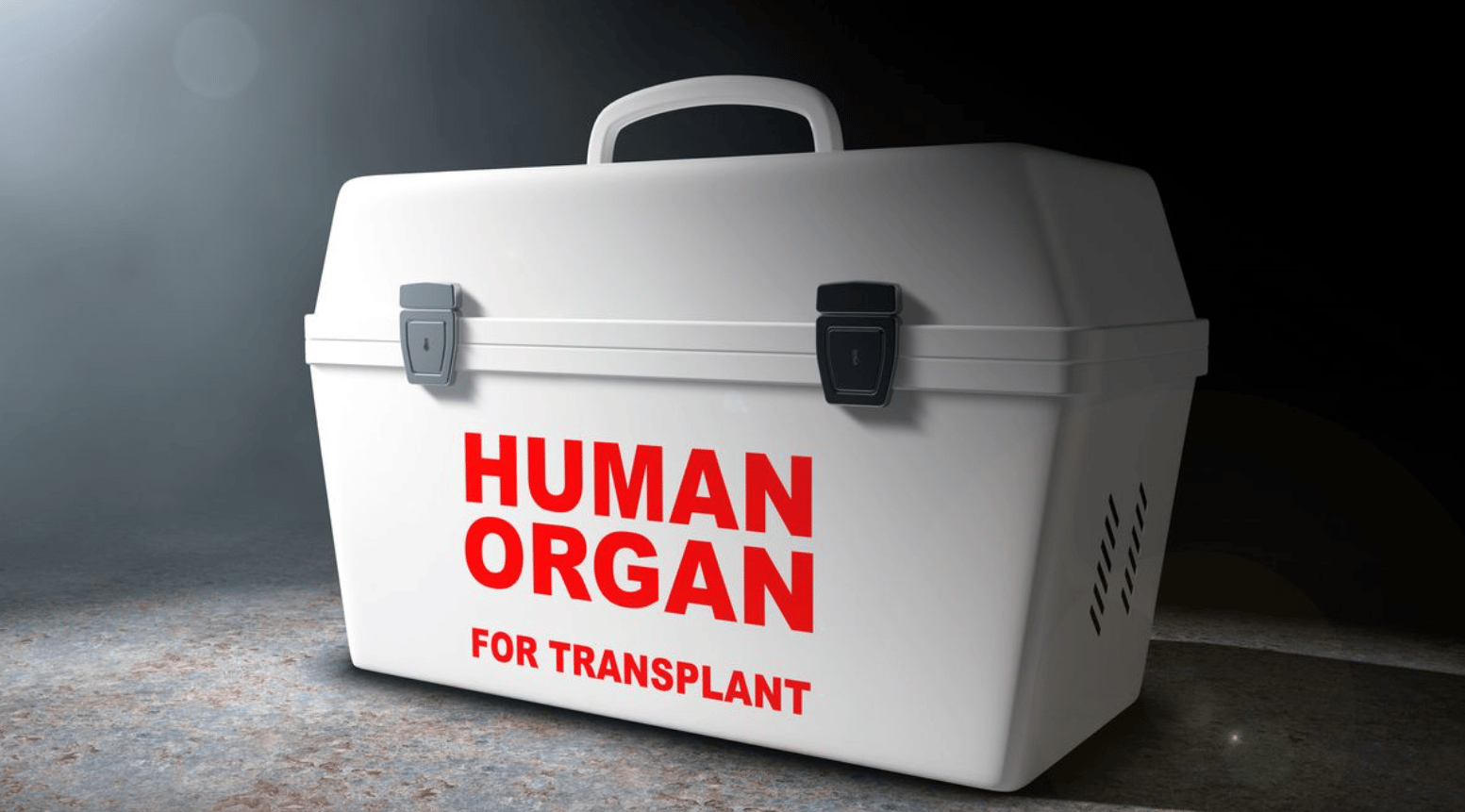 Israeli Tip That Blew the Lid on Organ Trafficking at Mediheal