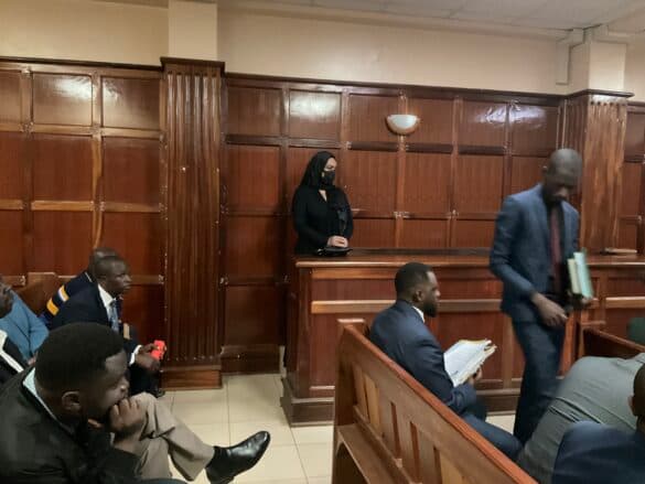 Nairobi Land Fraud Case Involving Swedish National Put on Hold Pending Court Review