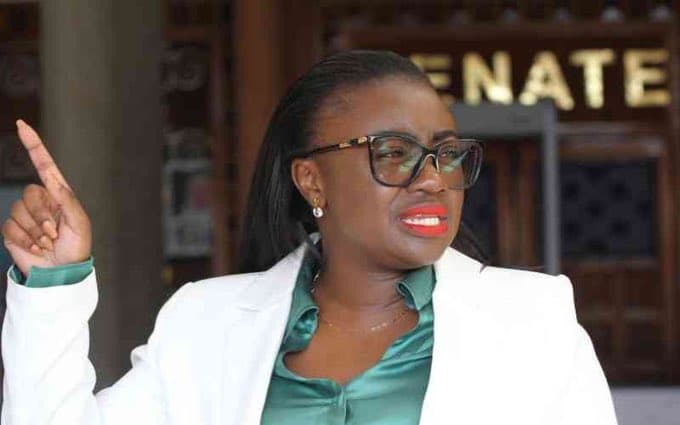 UDA Expels Senator Orwoba, Moves To Replace Her In Senate