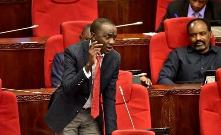 “Kenya Mkona Shida Ya Afya Ya Akili”: Tanzanian MPs Launch Scathing Attack on Kenyans Over Suluhu Criticism