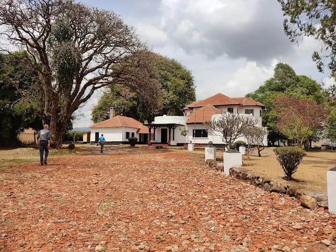 Government to Lease Mount Elgon Lodge to a Strategic Investor