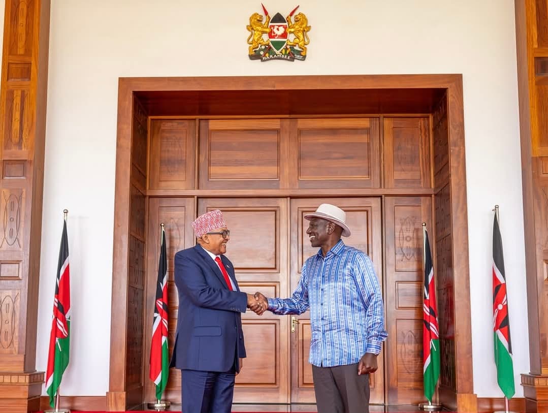 Ruto Hosts Somaliland President in State House as New Nairobi Office Causes Chaos