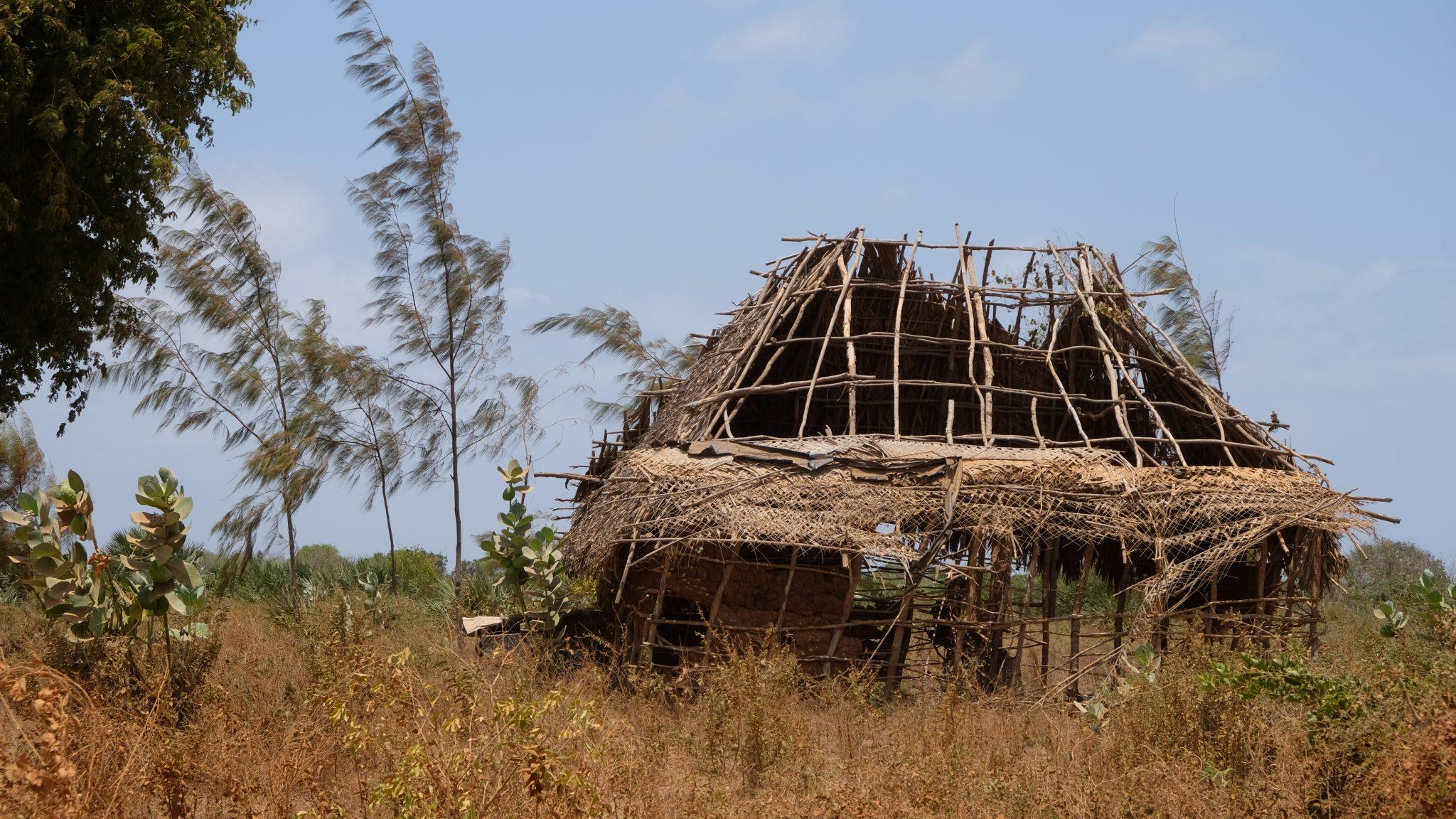 How Rogue Chiefs Are Driving Land Grabbing in Lamu