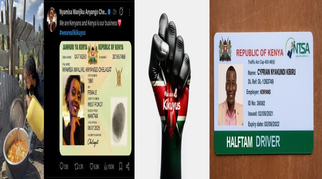 EXPLAINER: Why #WeAreAllKikuyus Hashtag Is Top Trending