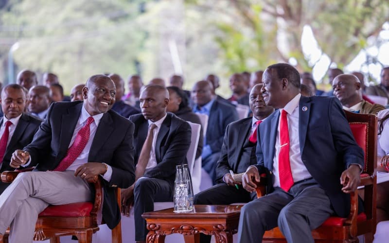 ODM and UDA to Share Sh1.2 Billion from Political Parties Fund, Smaller Parties Cry Foul
