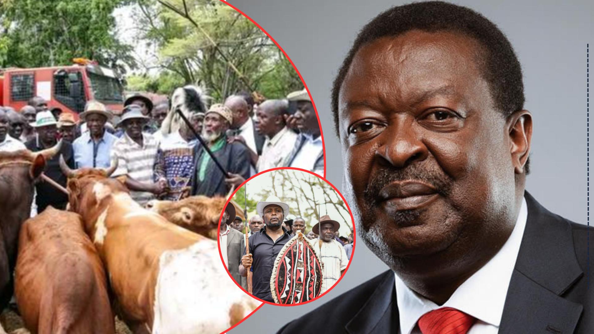 Luhya Leaders Mourn Raila Odinga in a Grand Cultural Tribute of Unity and Brotherhood