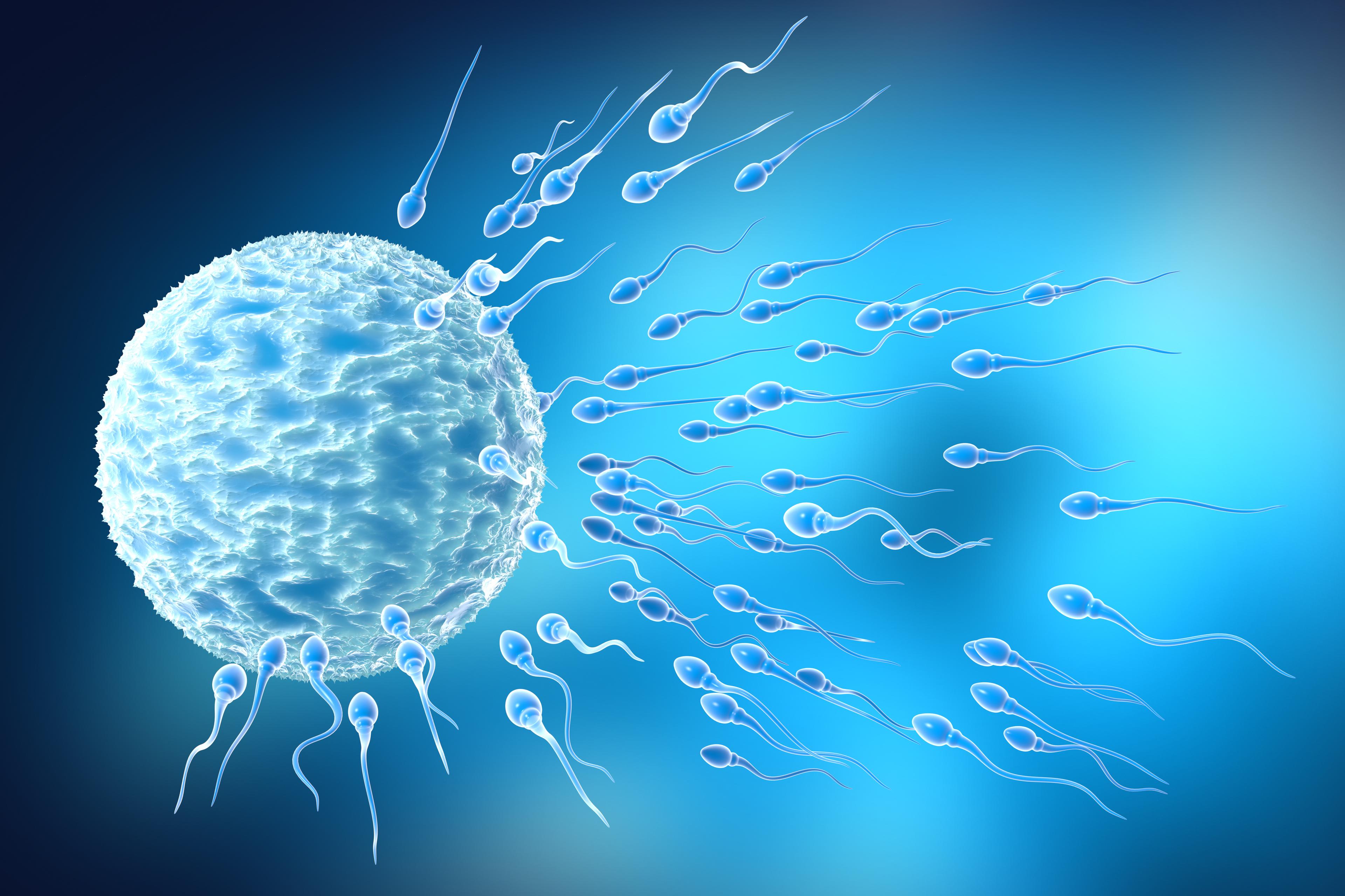 Alarm As Research Shows Deterioration of Sperm Quality in Men As Young As 30