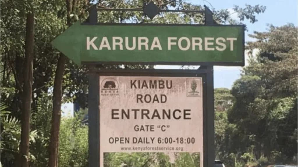 The Mess Of Former Lands Boss Gachanja As EACC Recovers Sh2.8 Billion Public Land Grabbed By JJ Kamotho