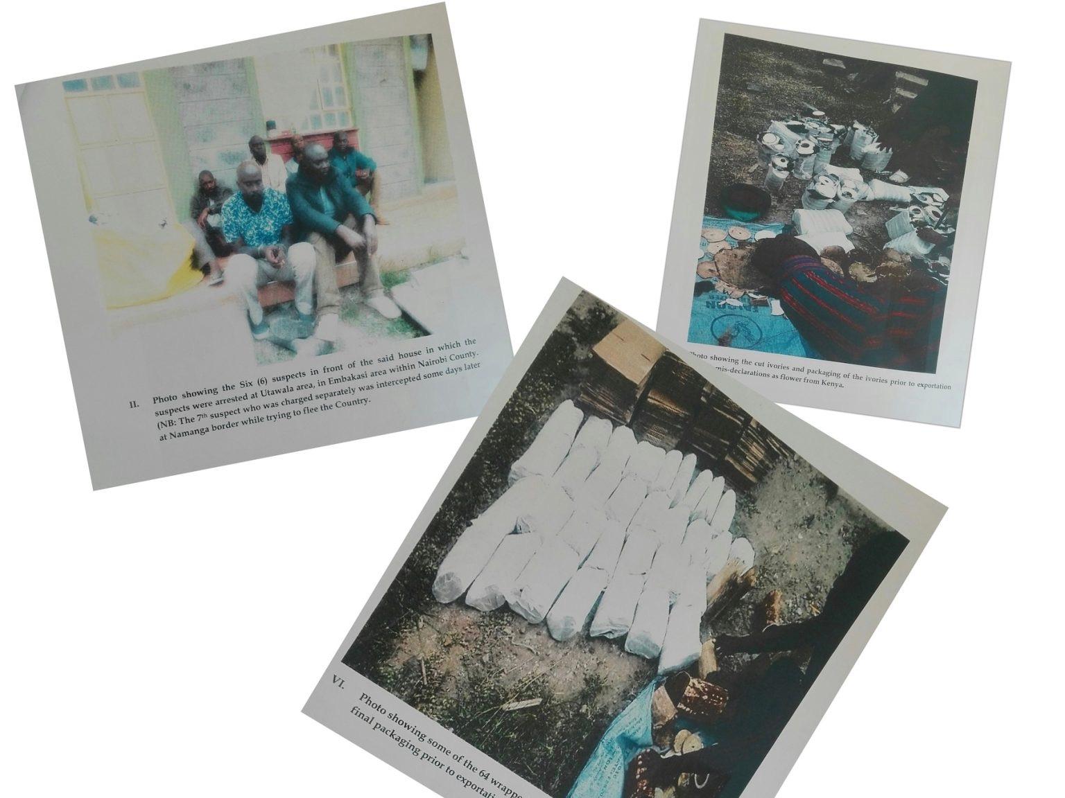 “At the Wrong Place at the Wrong Time” – Nairobi Court Acquits Five in Cartel Ivory Case