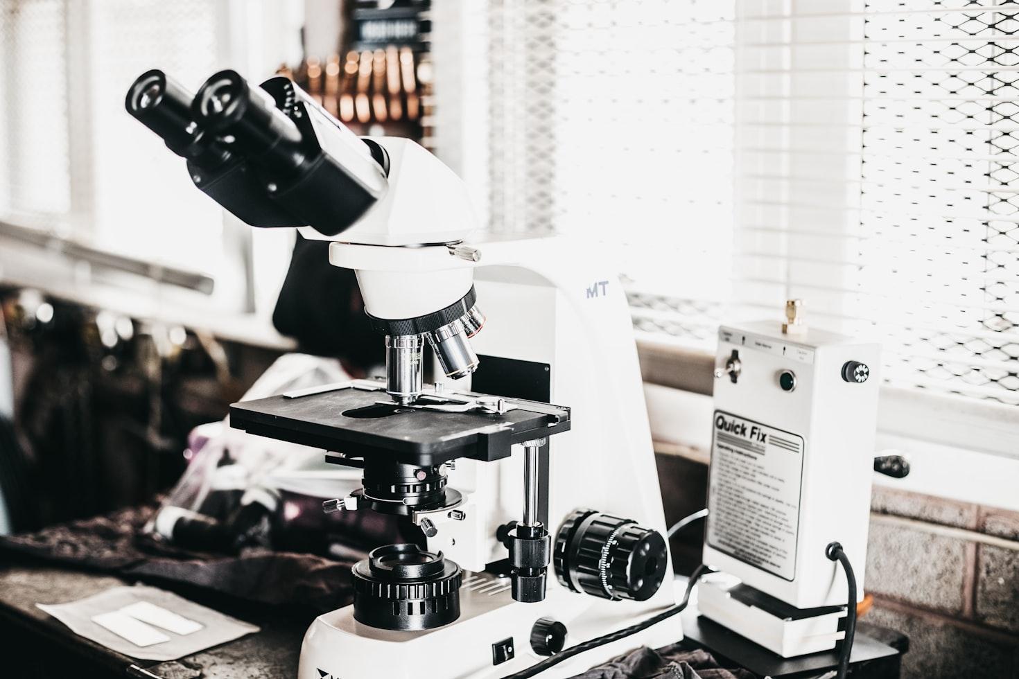 Fragment 176–191 Peptide: A Window into Metabolic and Regenerative Research