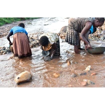 Blood and Gold: The Battle for Kakamega’s Buried Treasure
