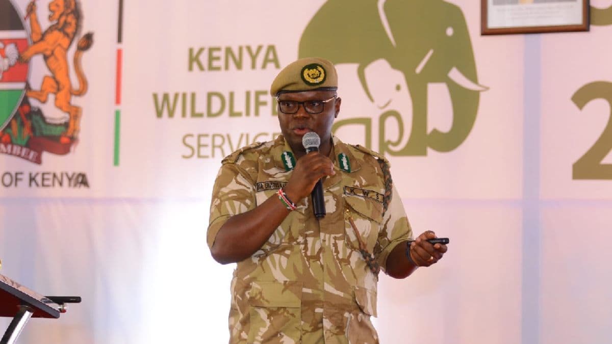 Tax Payers Could Lose Millions in KWS Sh710 Insurance Tender Scam As Rot in The Agency Gets Exposed Further