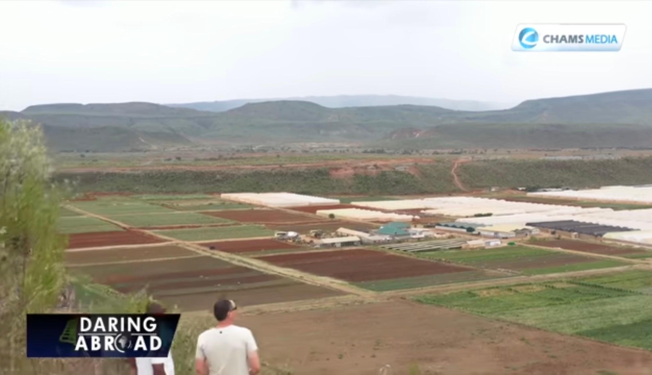 A Farm in Kenya’s Rift Valley Ignites a National Reckoning With Israeli Investment