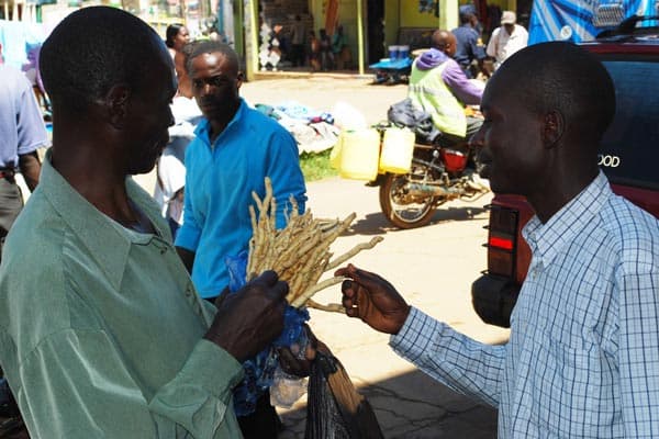 Mukombero Doesn’t Boost Stamina and Energy, Medics Warn