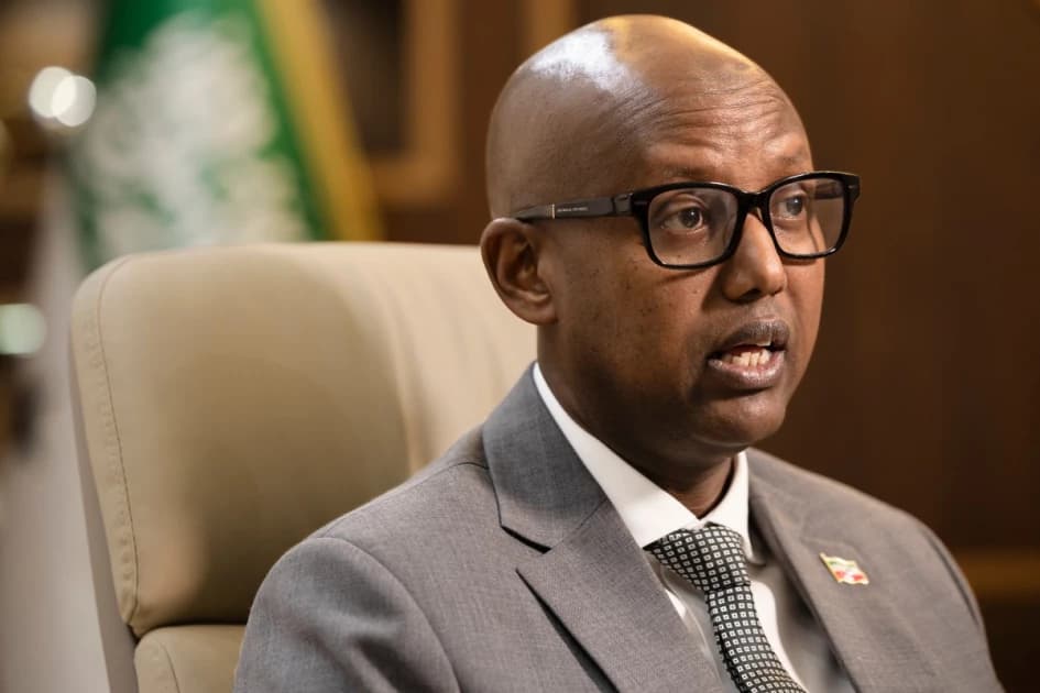 Somaliland Offers Minerals, Military Bases To US